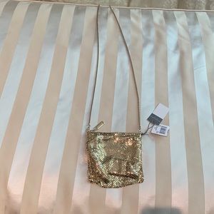 Whiting and Davis Dance Bag